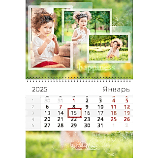 С отрывной календарной сеткой 26