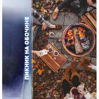 Пикник на обочине